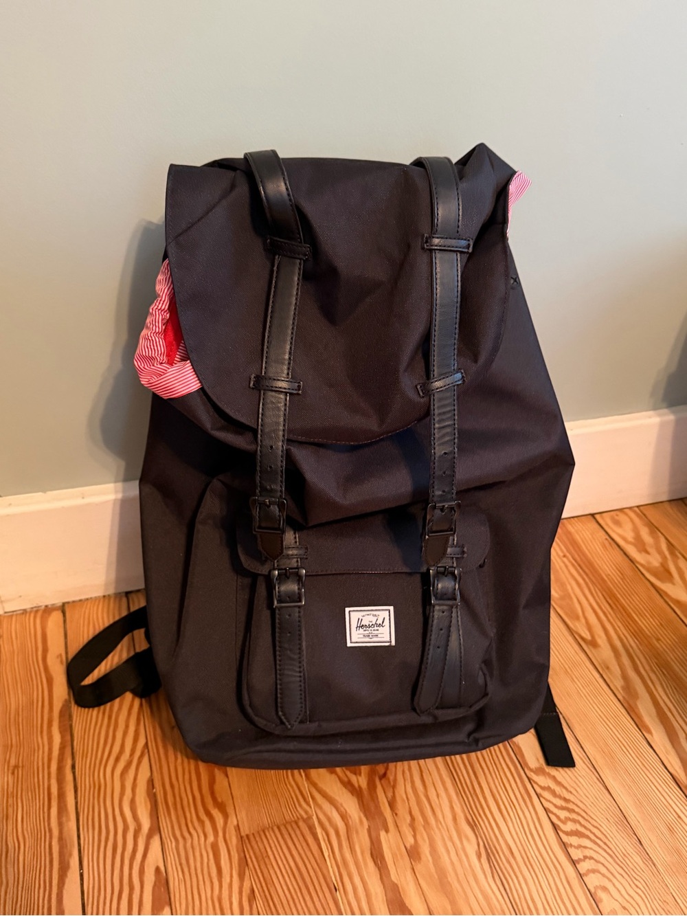 Herschel Supply Company Backpack with red stripe Liner Accent